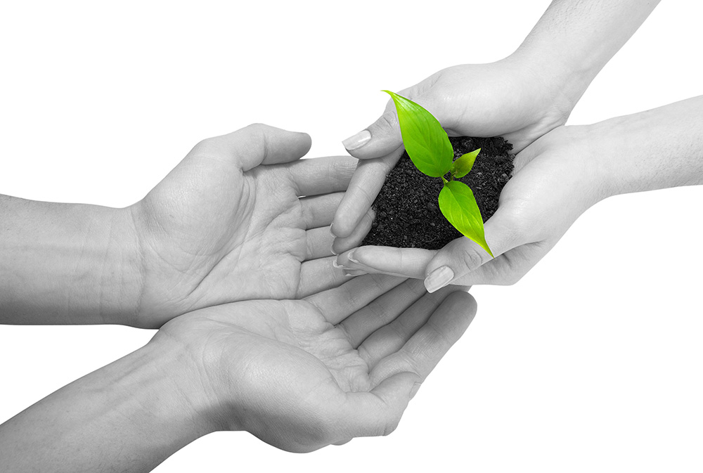 释放创新动力的轰炸电话号码网站